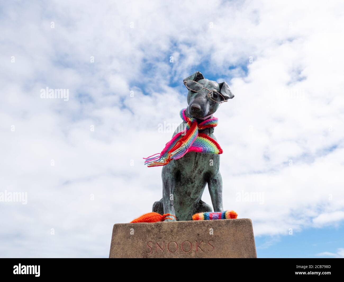 Jack russell uk summer hires stock photography and images Alamy