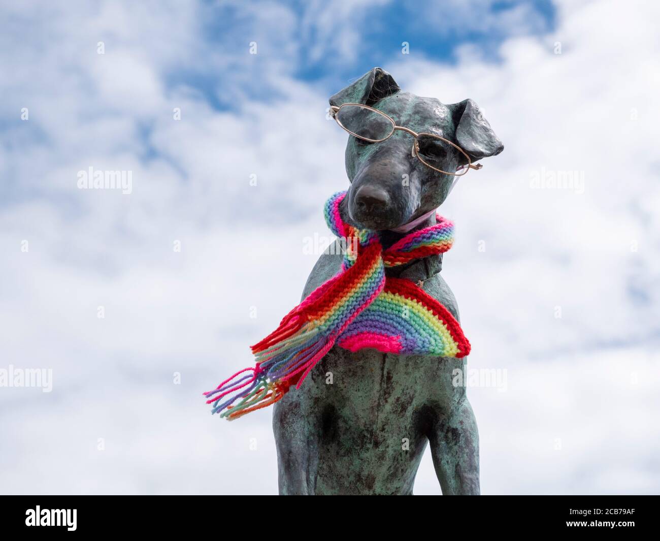 Dog weraing spectacle hires stock photography and images Alamy