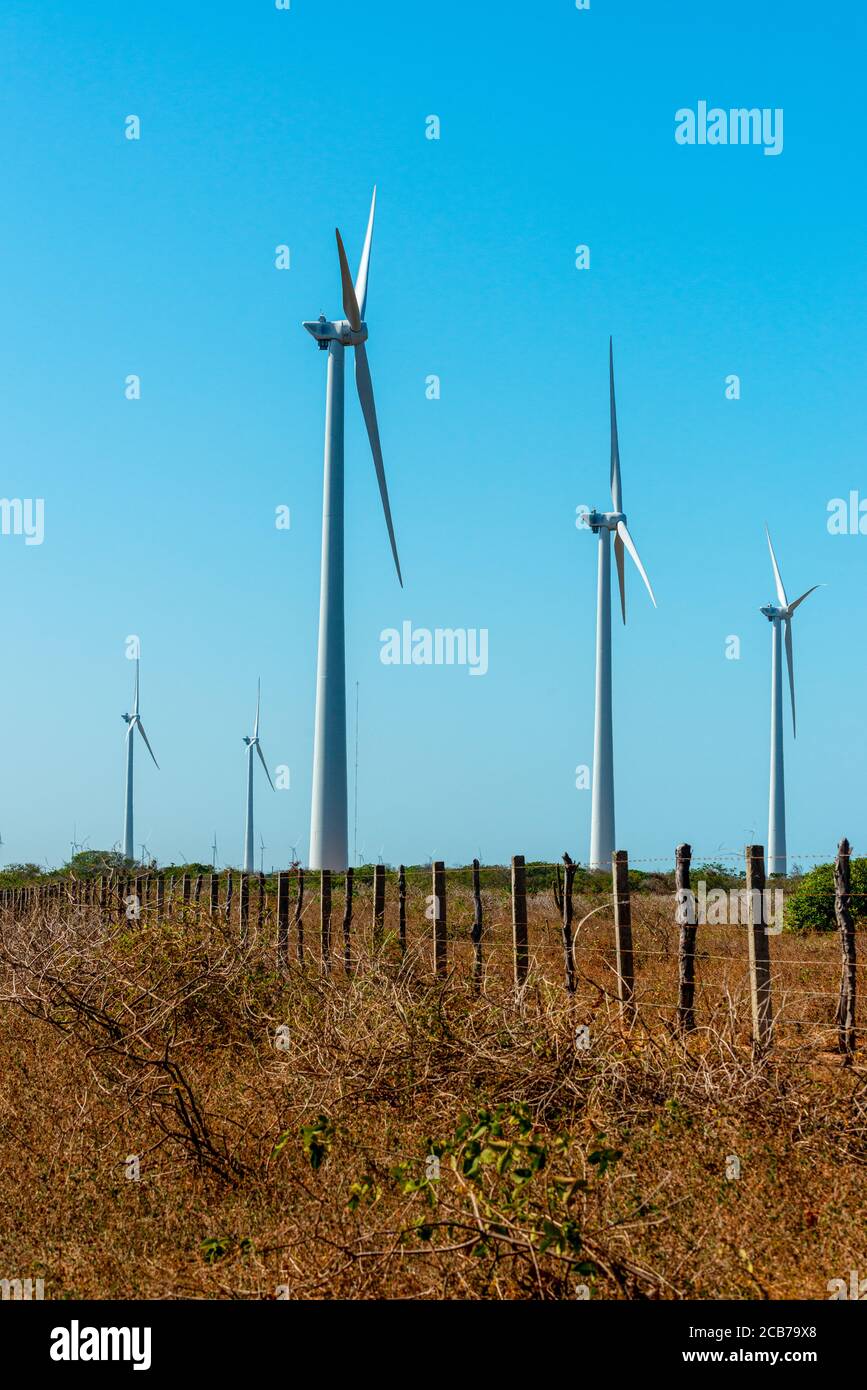 Wind power turbines in Aracati, near Fortaleza, Ceara, Brazil Stock Photo