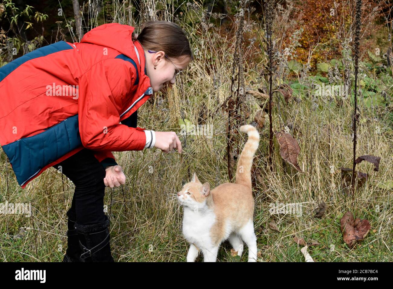 White Caucasian girl playing with a cat in the forest Stock Photo