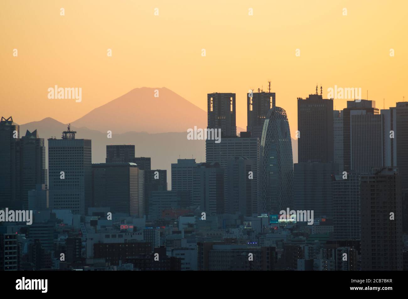 View towards the Shinjuku Skyline and Mount Fuji from the Bunkyo Civic Building Viewing Platform, Tokyo, Japan Stock Photo
