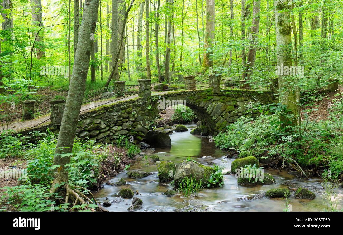 A Panorama of an Old Moss Covered Stone Bridge in the Great Smoky Mountains National Park, Tennessee Stock Photo