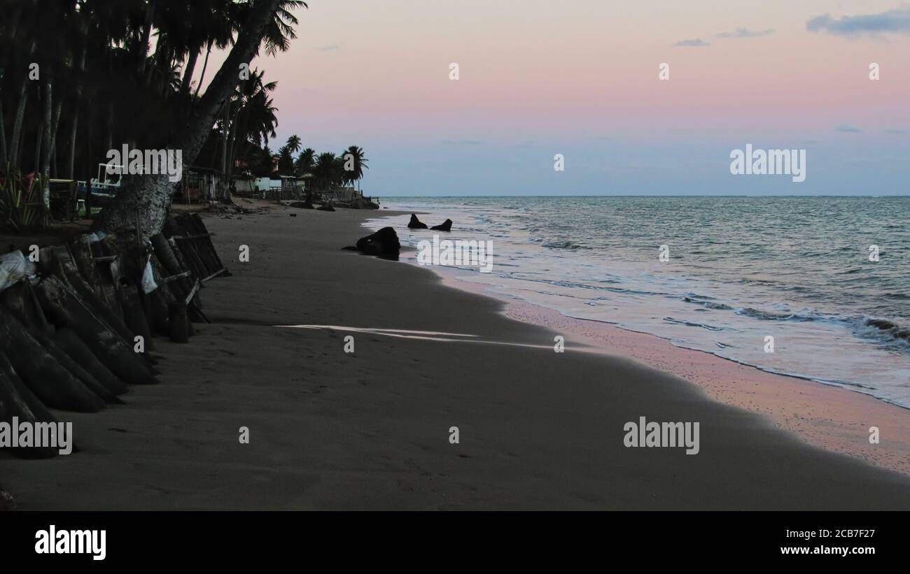 beach with strip of sand between coconut trees and water of the sea illuminated at dusk, under a sky in the golden hour. Stock Photo