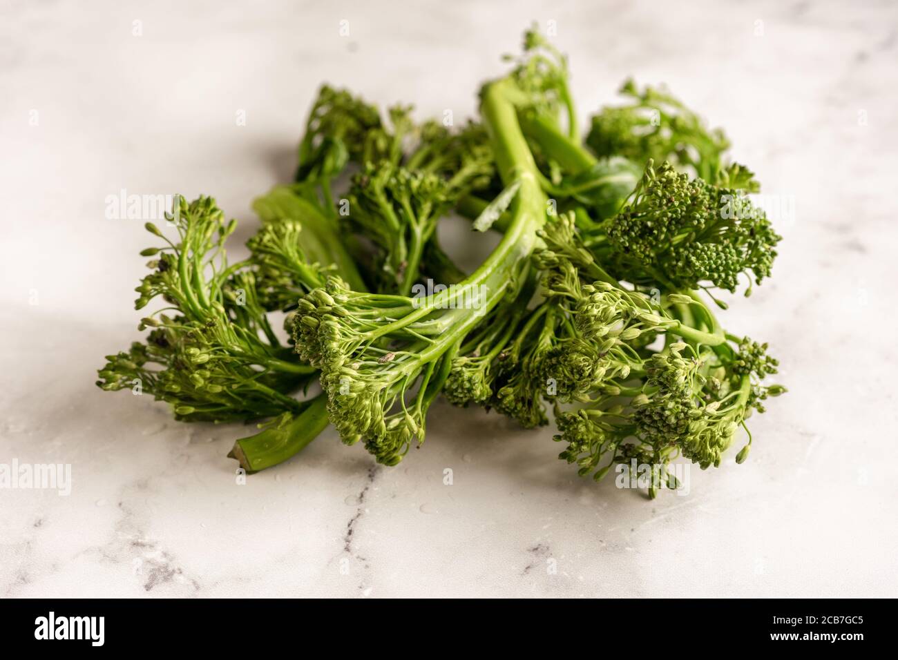 Close up of a hybrid cabbage called broccolini Stock Photo