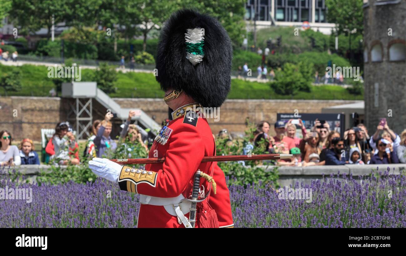 The Honourable Artillery Company Hi res Stock Photography And Images the-honourable-artillery-company-hi-res-stock-photography-and-images