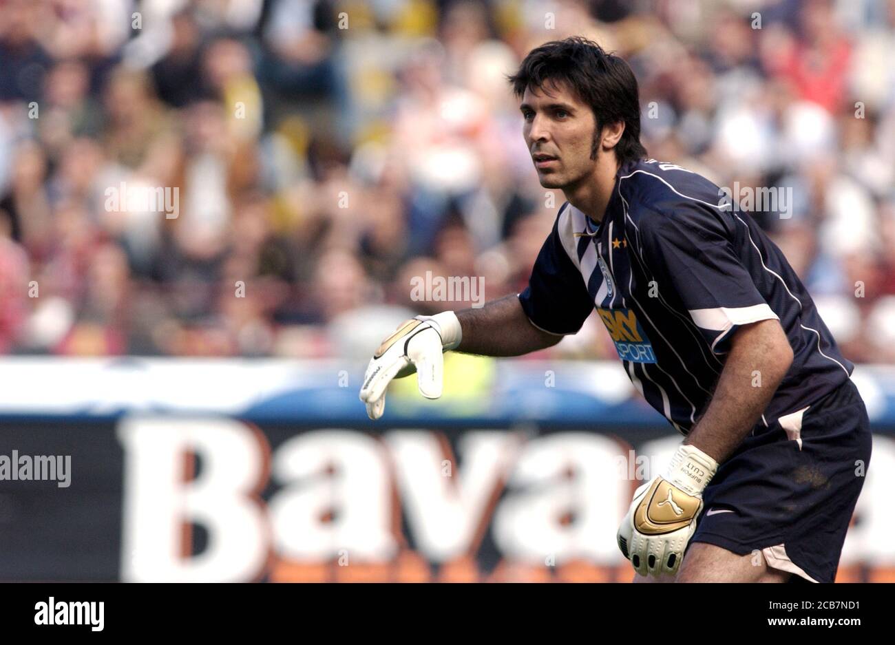 Buffon 2005 hi-res stock photography and images - Alamy Buffon 2005 hi-res stock photography and images - Alamy