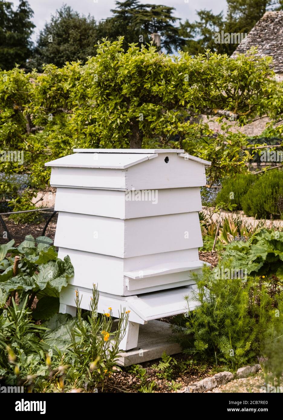 Bee Hive, in kitchen garden. Stock Photo