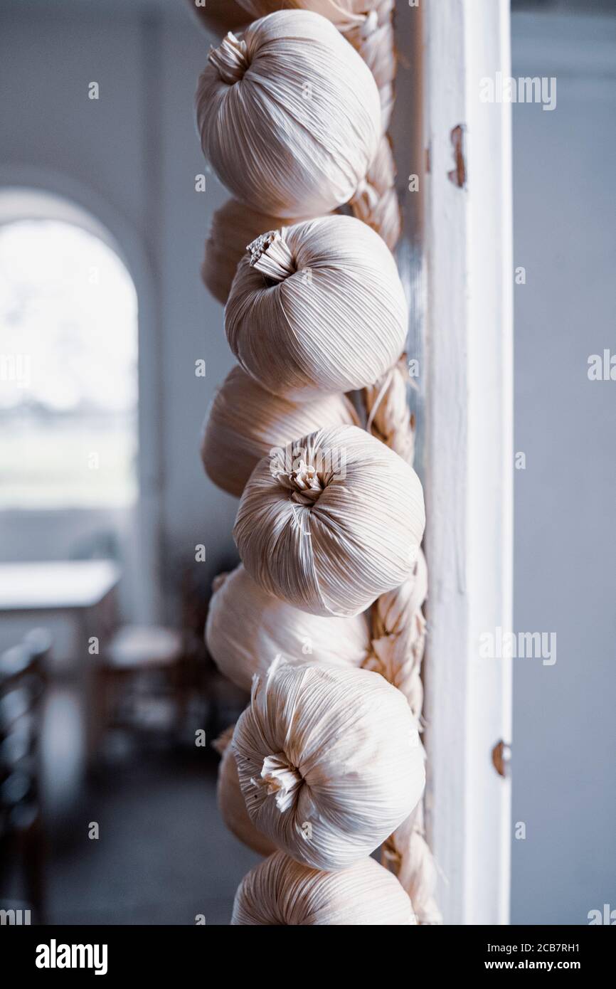 Garlic, Allium Sativum, A braid of hanging garlic bulbs in a kitchen. Stock Photo