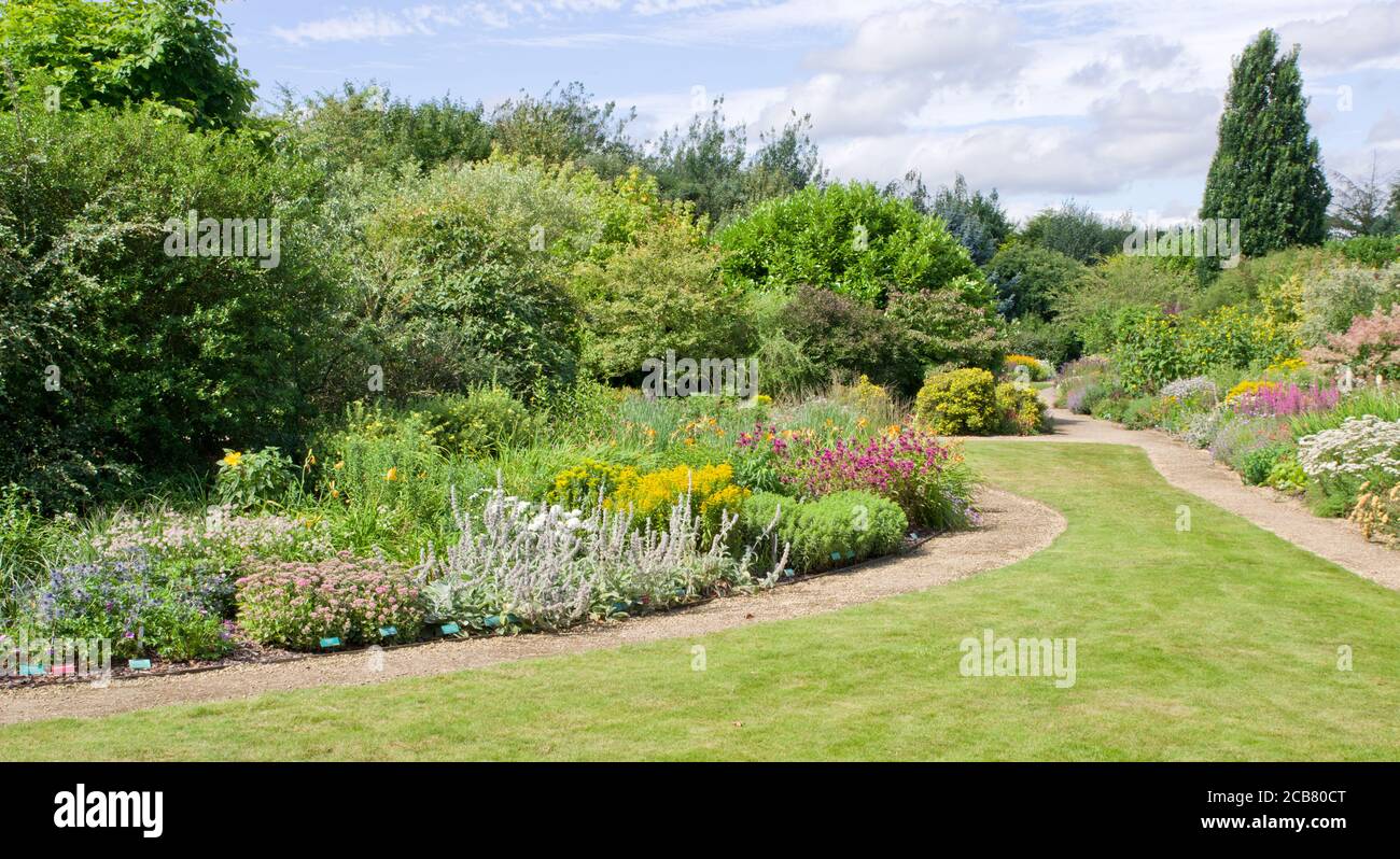 Plants for herbaceous borders hi-res stock photography and images - Alamy