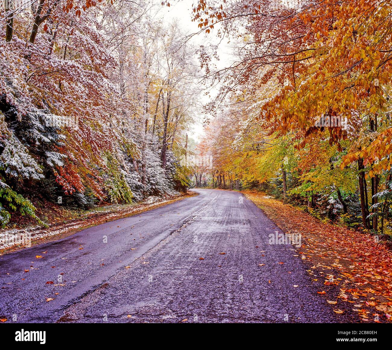 Early snow in fall trees on road in Lake Placid area of the Adirondack Mounatins State Park in New York State United States Stock Photo