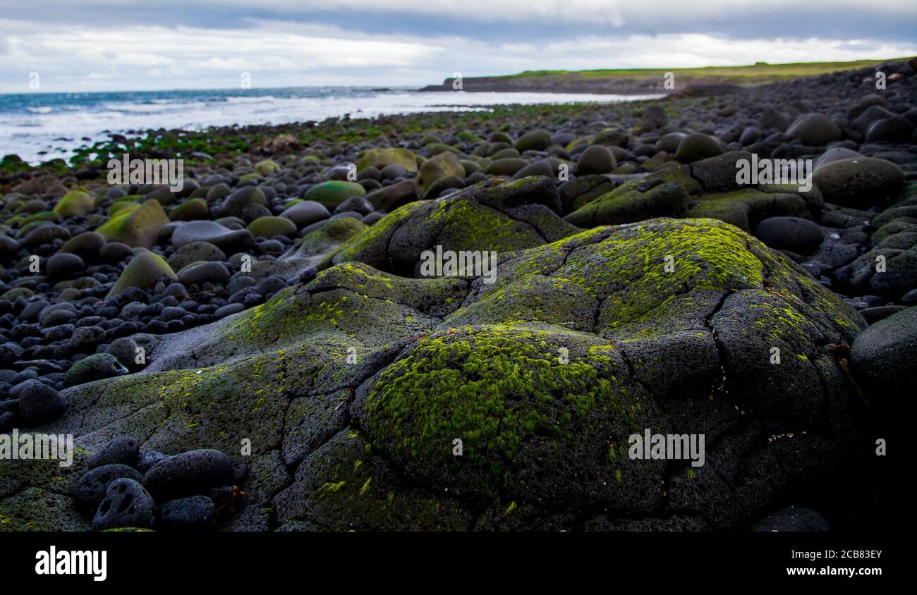 Moss covered rocks at the beach hi-res stock photography and images - Alamy