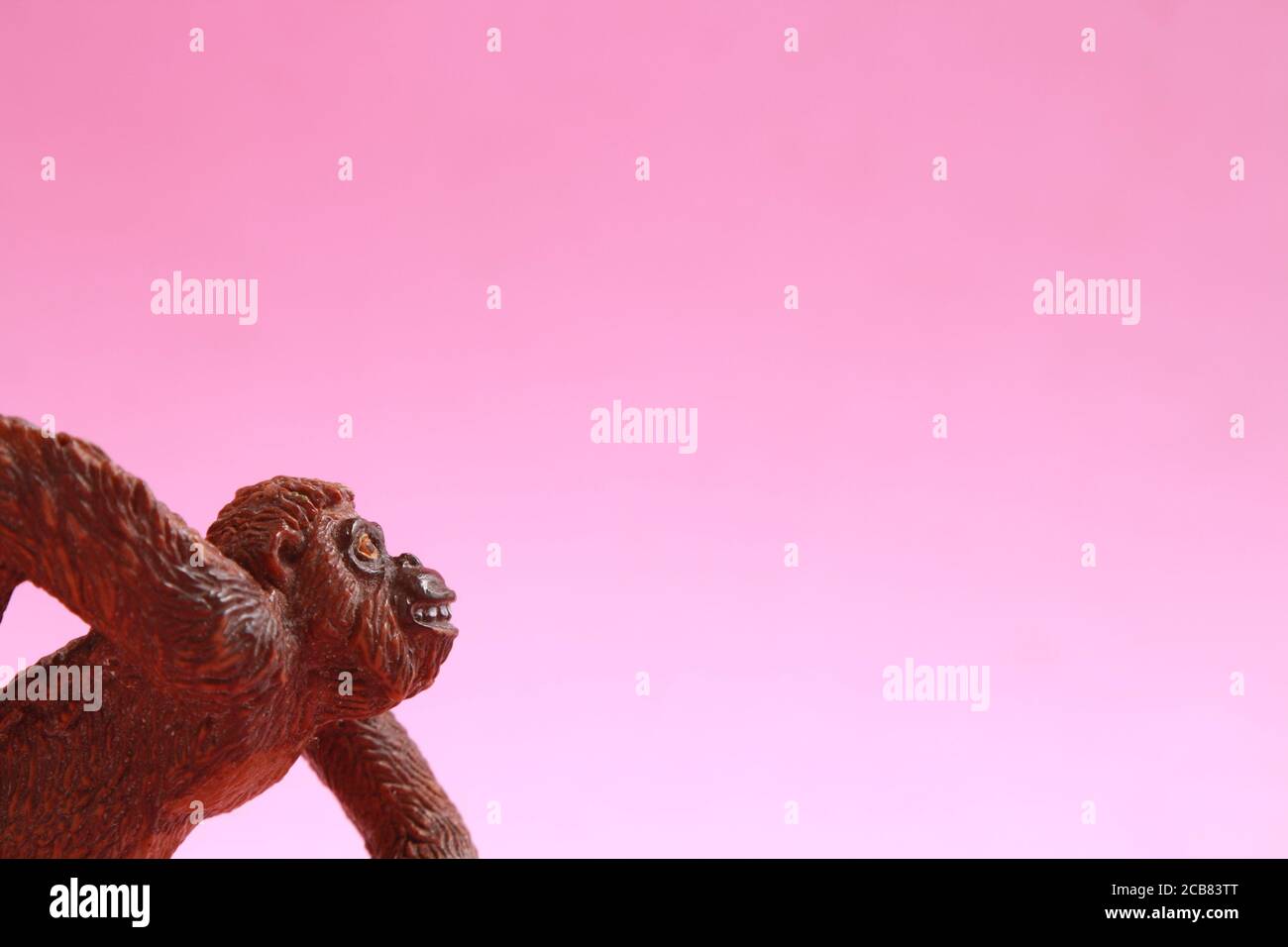 Closeup shot of orangutan shaped plastic toy isolated on a pink background Stock Photo
