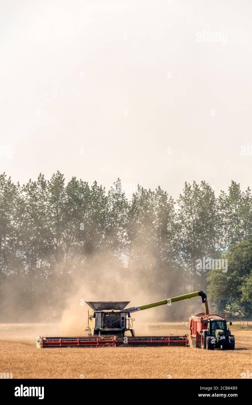 Combine harvester working and offloading grain to a tractor and trailer