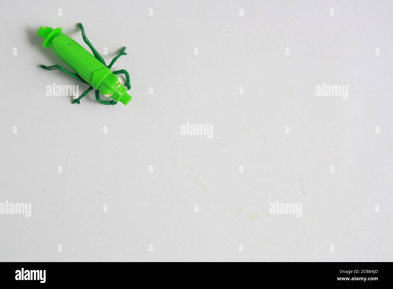 Closeup of a green plastic toy grasshopper on a white background Stock