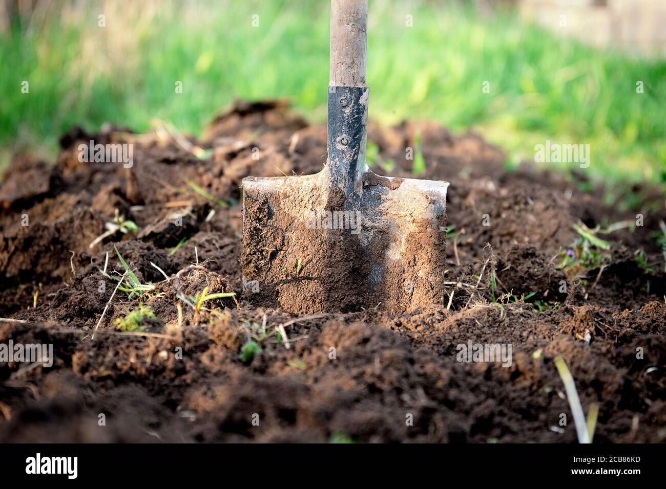 Spade stuck in the ground hi-res stock photography and images - Alamy