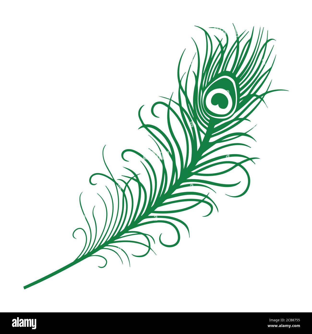 Vector hand drawn peacock feather. Isolated object on white background.  shree krishna mor pankh Stock Vector Image & Art - Alamy