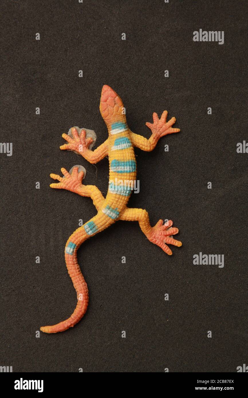 Closeup shot of a small toy gecko isolated on a black background Stock Photo