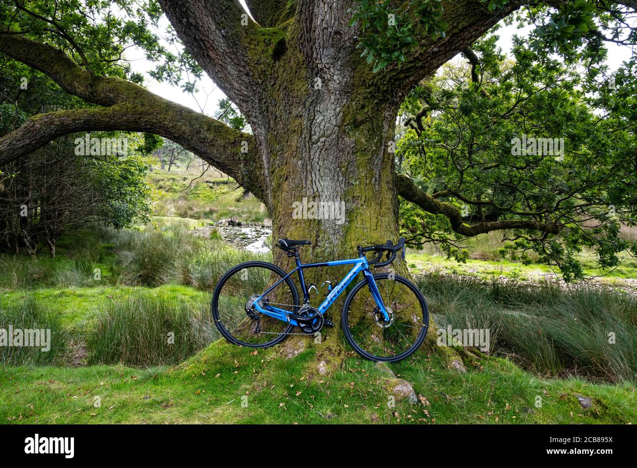Orbea Gain M30 Electric road bike in the Trough of Bowland, Lancashire. Stock Photo