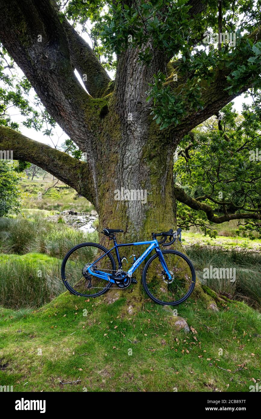 Orbea Gain M30 Electric road bike in the Trough of Bowland, Lancashire. Stock Photo