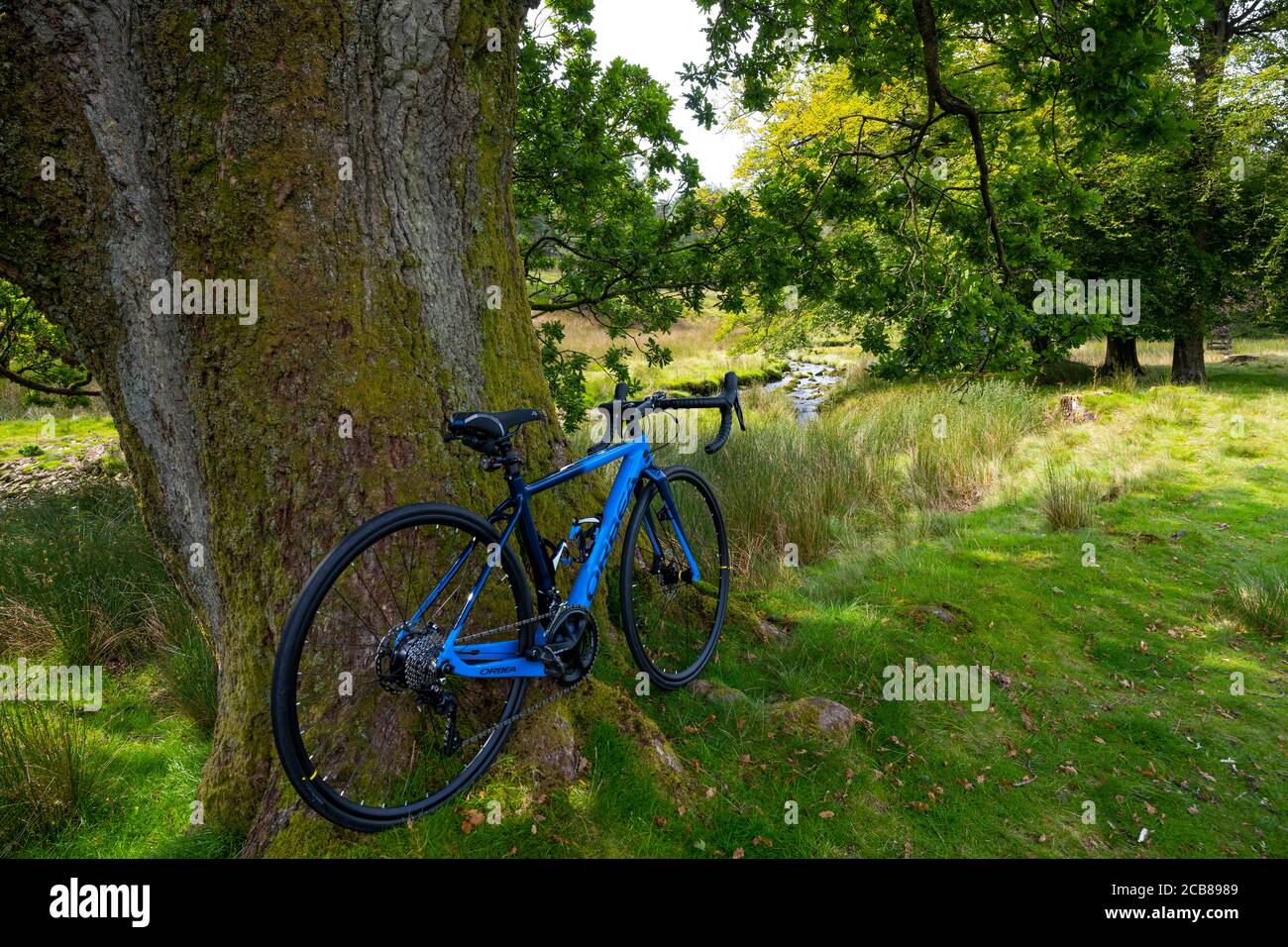 Orbea Gain M30 Electric road bike in the Trough of Bowland, Lancashire. Stock Photo