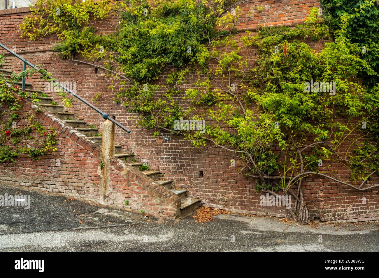 stairway with brick wall and tree Stock Photo Alamy