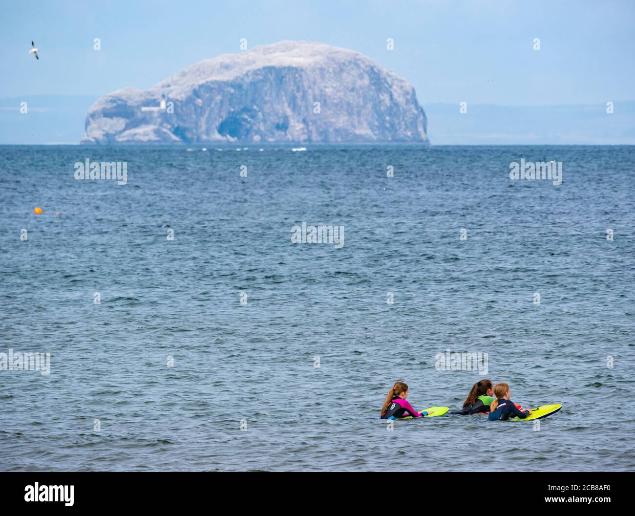 Three girls in sea with body boards and Bass Rock gannet colony on horizon, Firth of Forth, East Lothian, Scotland, UK Stock Photo