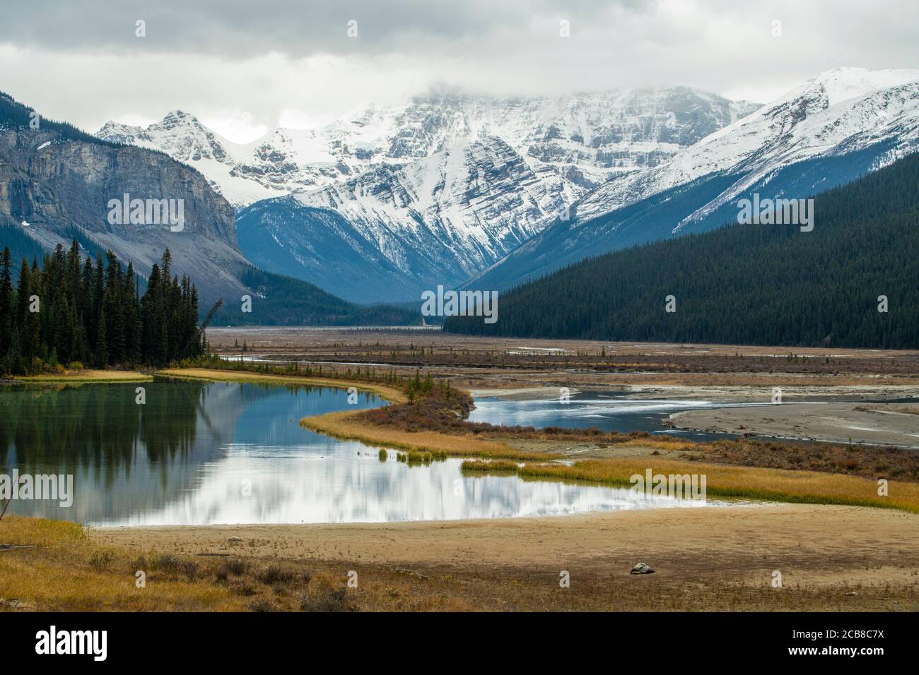 Reflections in Beauty Creek, Jasper National Park, Alberta, Canada Stock Photo