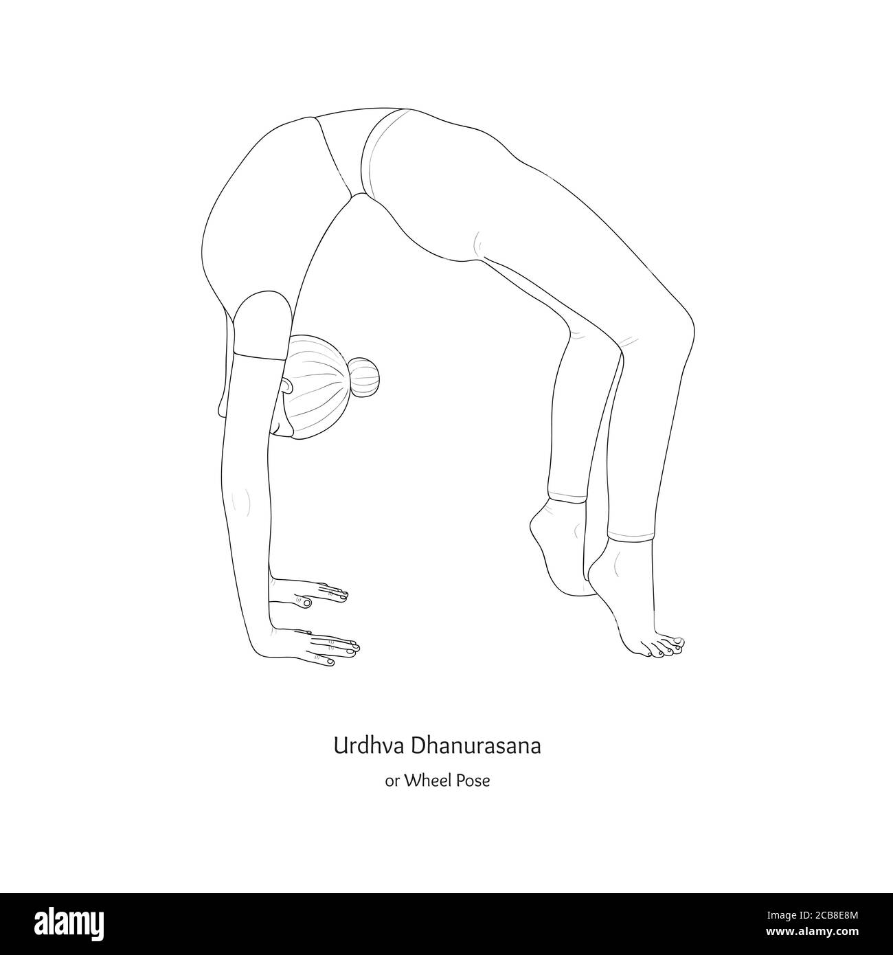Continuous Line Drawing. Young Woman Making Yoga Exercise, Silhouette  Picture. One Line Drawn Black And White Illustration. Ardha Chakrasana  Posture Royalty Free SVG, Cliparts, Vectors, and Stock Illustration. Image  183580043.