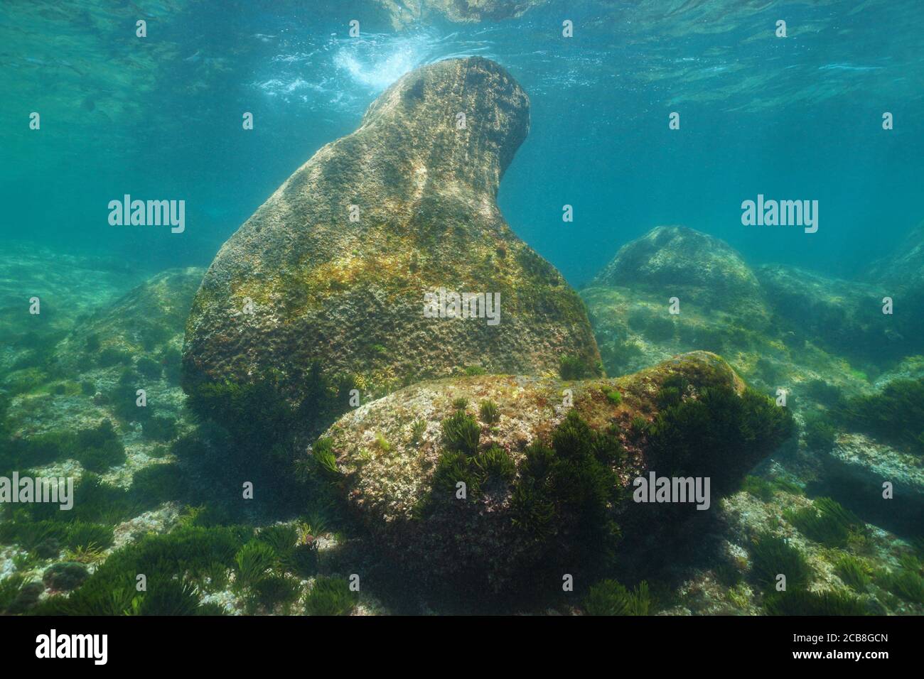 Rocks underwater, Atlantic ocean, Galicia, Spain, Pontevedra Stock Photo
