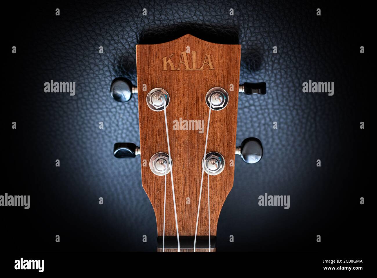 Close up view of a wooden concert ukulele headstock spotlighted and isolated on a black background. Stock Photo