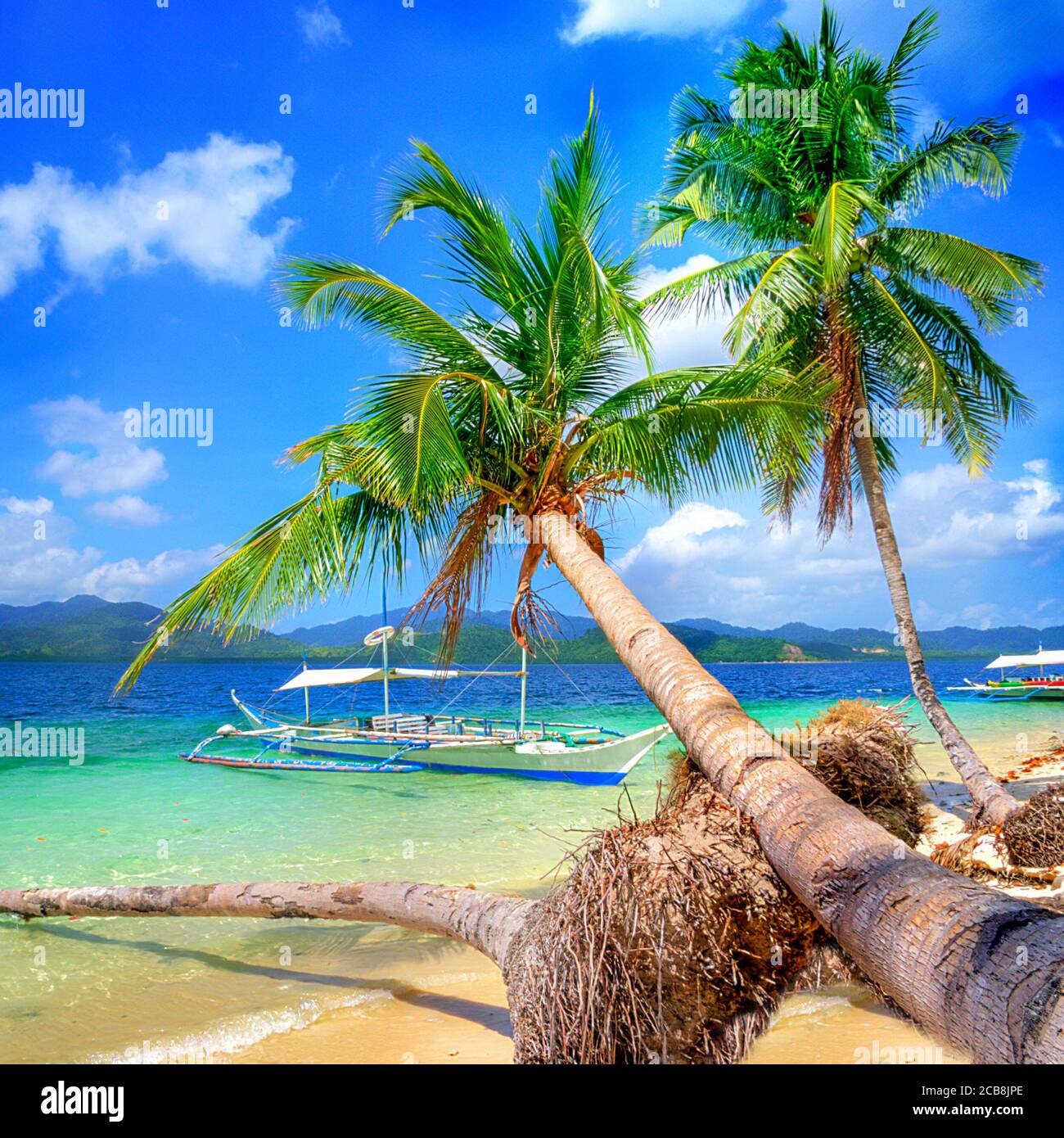 Splendid exotic nature of El nido, Palawan island, Philippines. Island hopping Boat trip Stock Photo