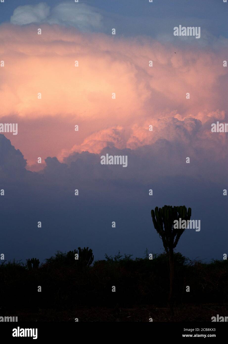 Thunderclouds develop after a hot day over the Western Rift in Queen Elizabeth National Park. Large cumulonimbus can result in violent storms that ca Stock Photo