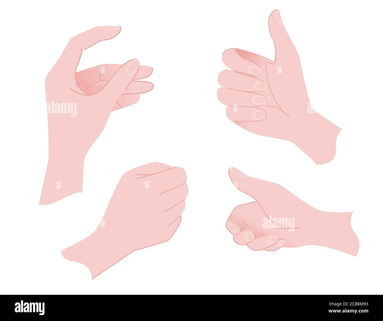 Various gestures of human hands hold template flat vector illustration ...