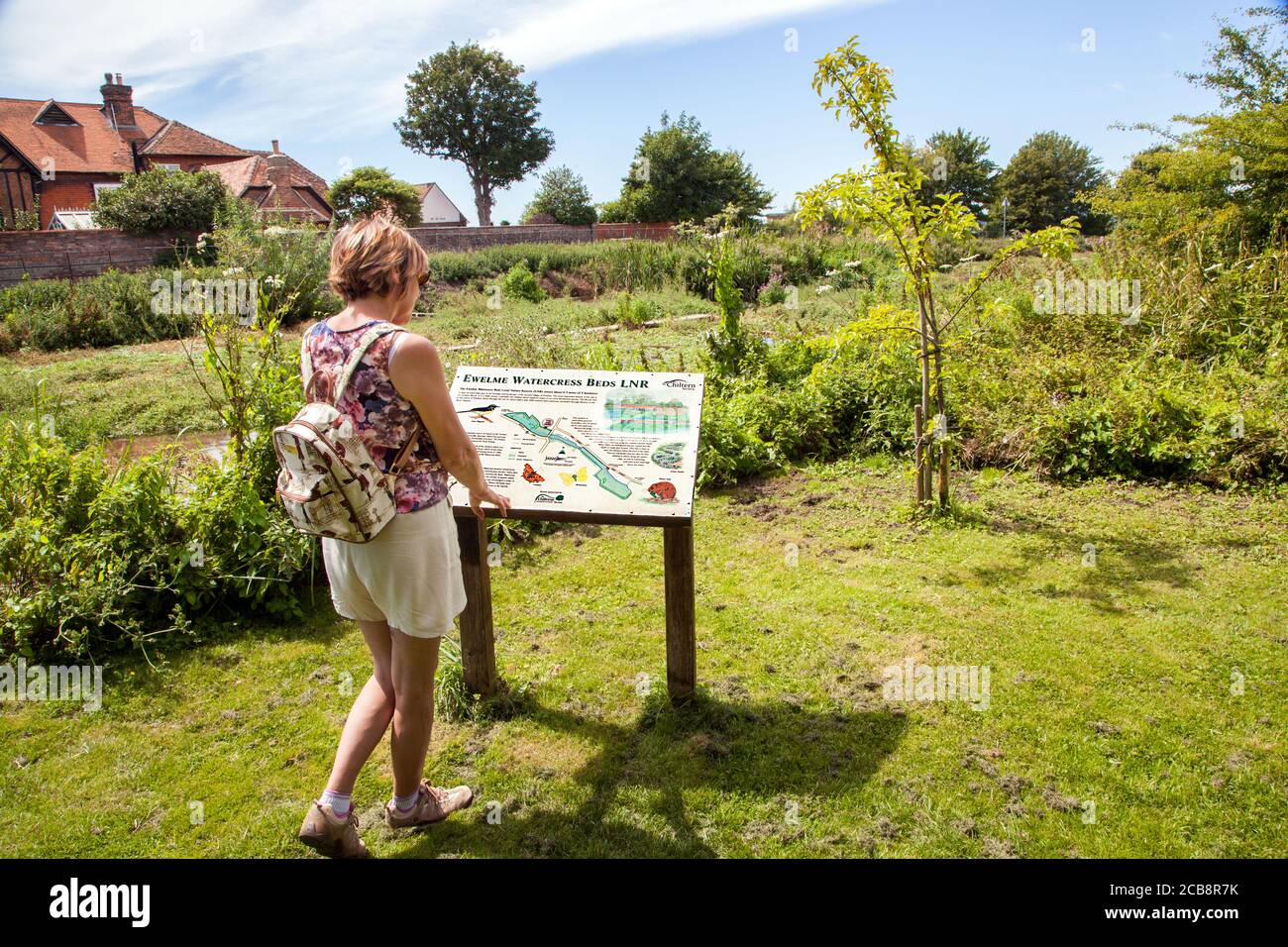 Woman reading the notice board at the watercress beds in the