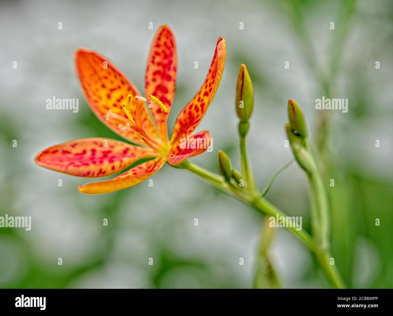 Ute valley park hi-res stock photography and images - Alamy