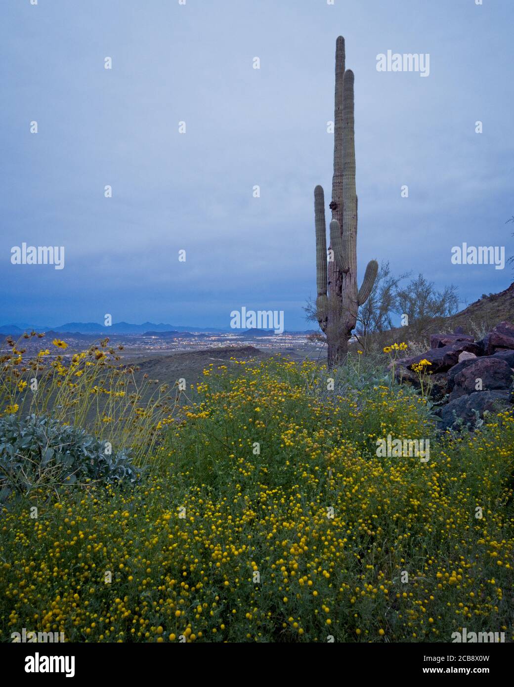 A photo from my hike at Deem Hills Recreation Area in Glendale, Arizona