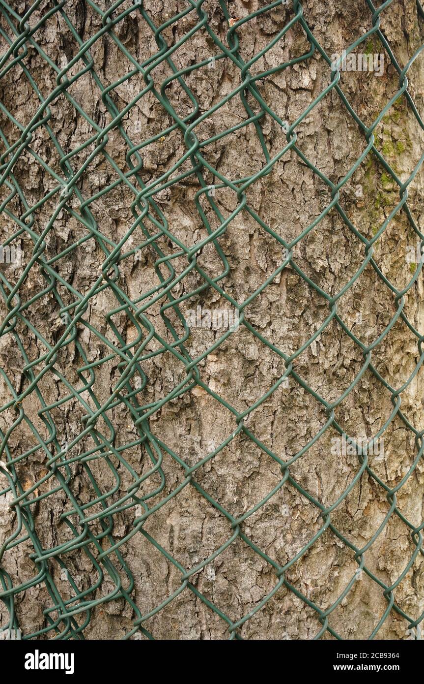 Vertical shot of steel fence Stock Photo - Alamy