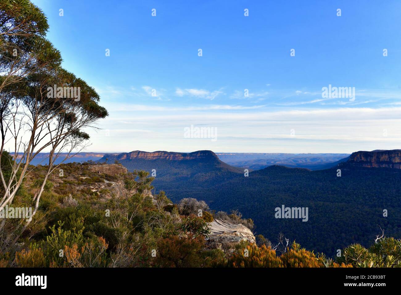 A view of the Blue Mountains as seen from Landslide Rock at Katoomba Stock Photo