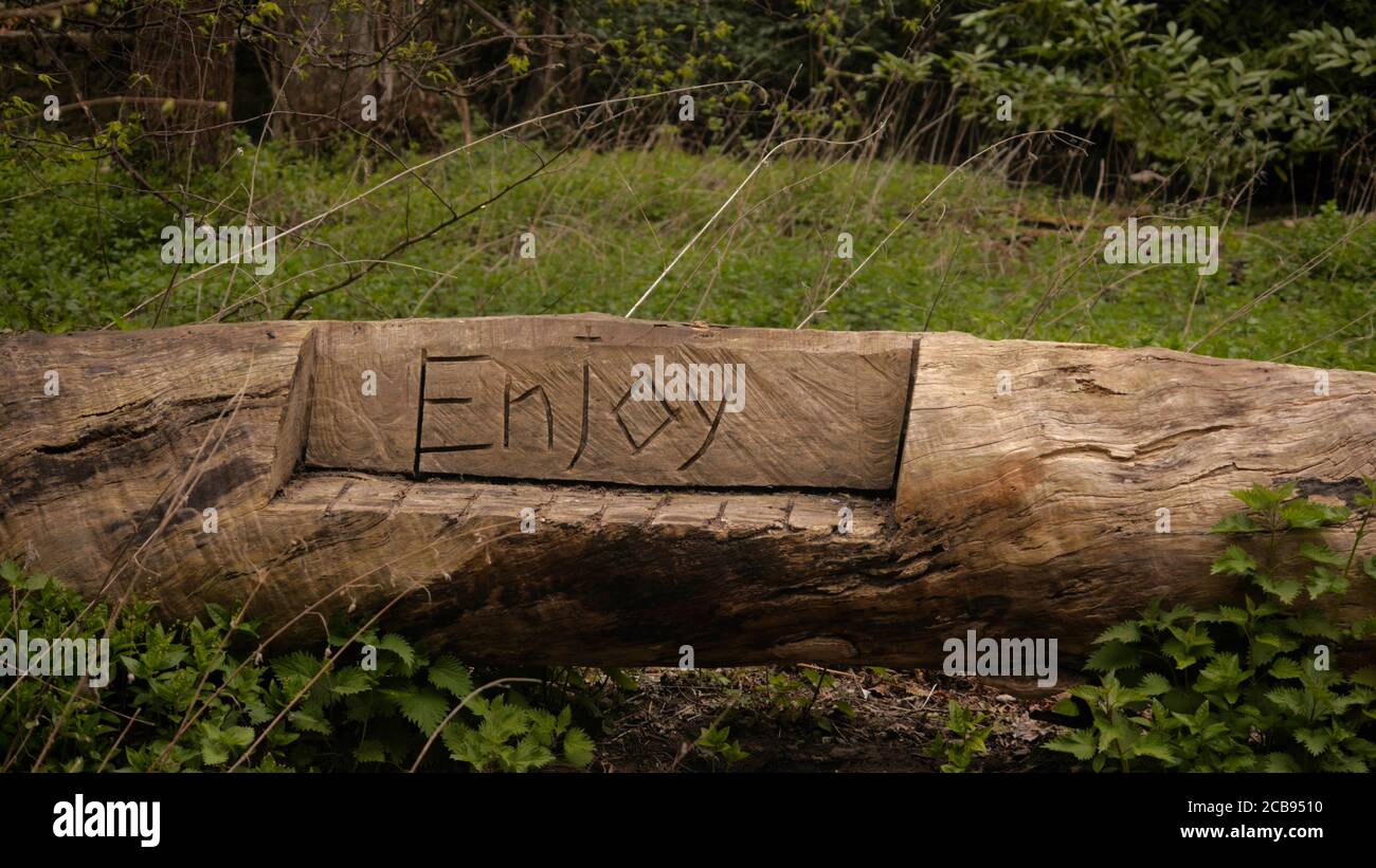Green bush on carved word hi-res stock photography and images - Alamy
