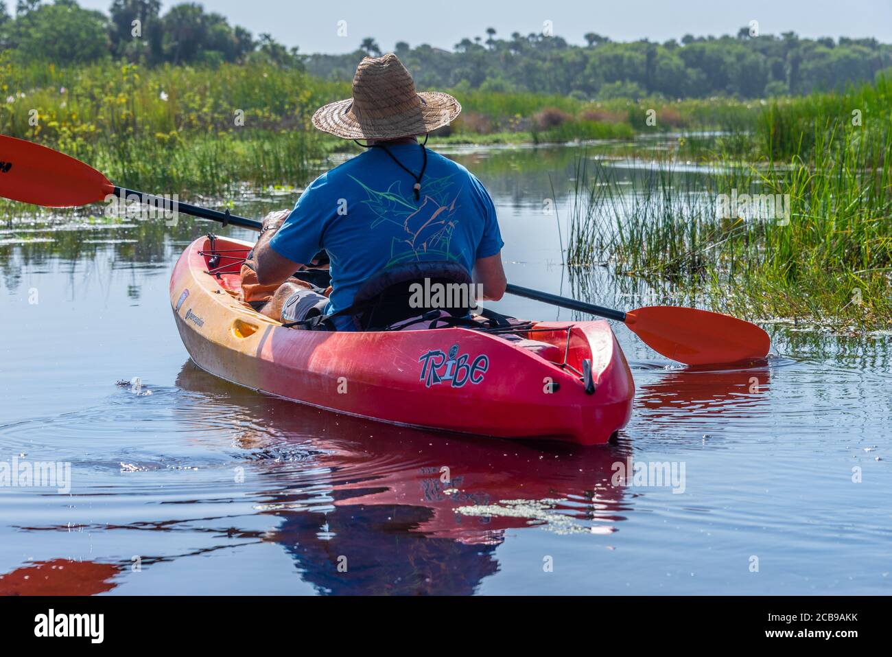 Kayaker exploring the Guana River coastal marsh in Ponte Vedra Beach, Florida. (USA) Stock Photo