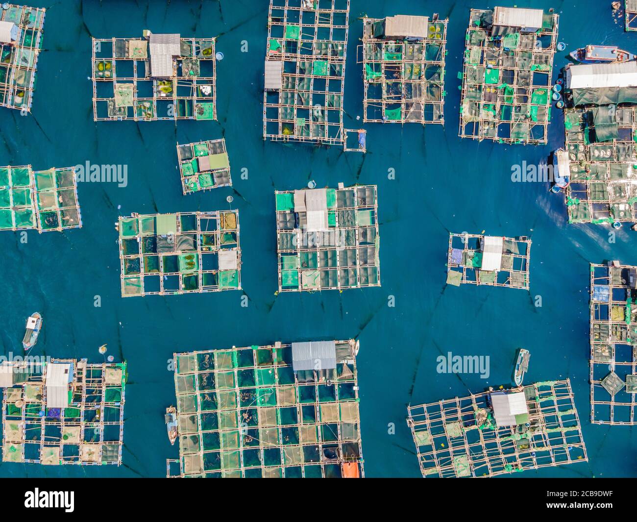 Lots of marine farms in a blue sea water. Sea farming concept Stock