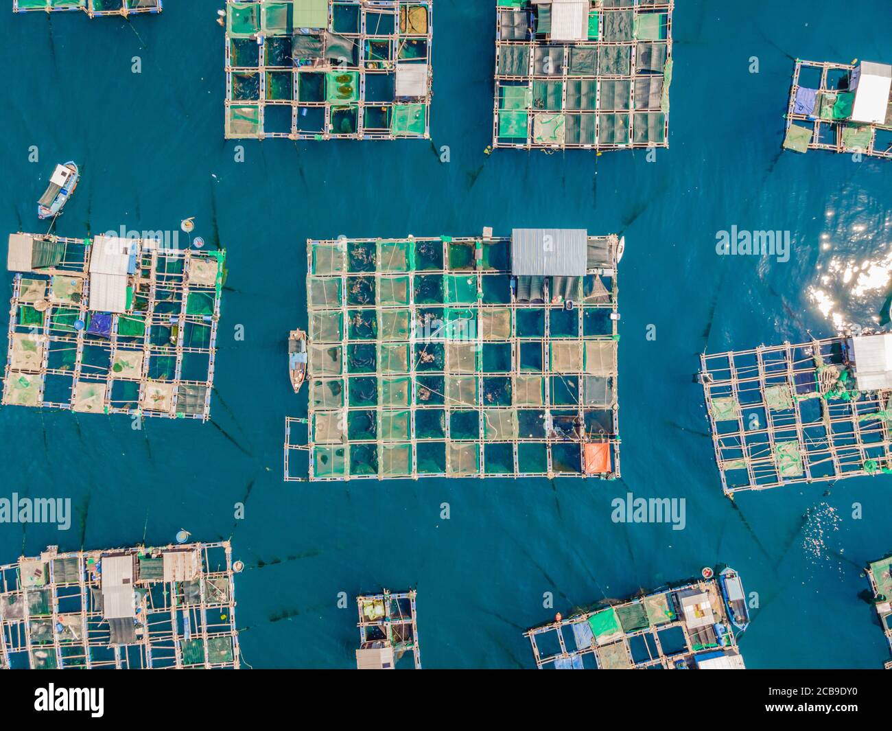 Lots of marine farms in a blue sea water. Sea farming concept Stock