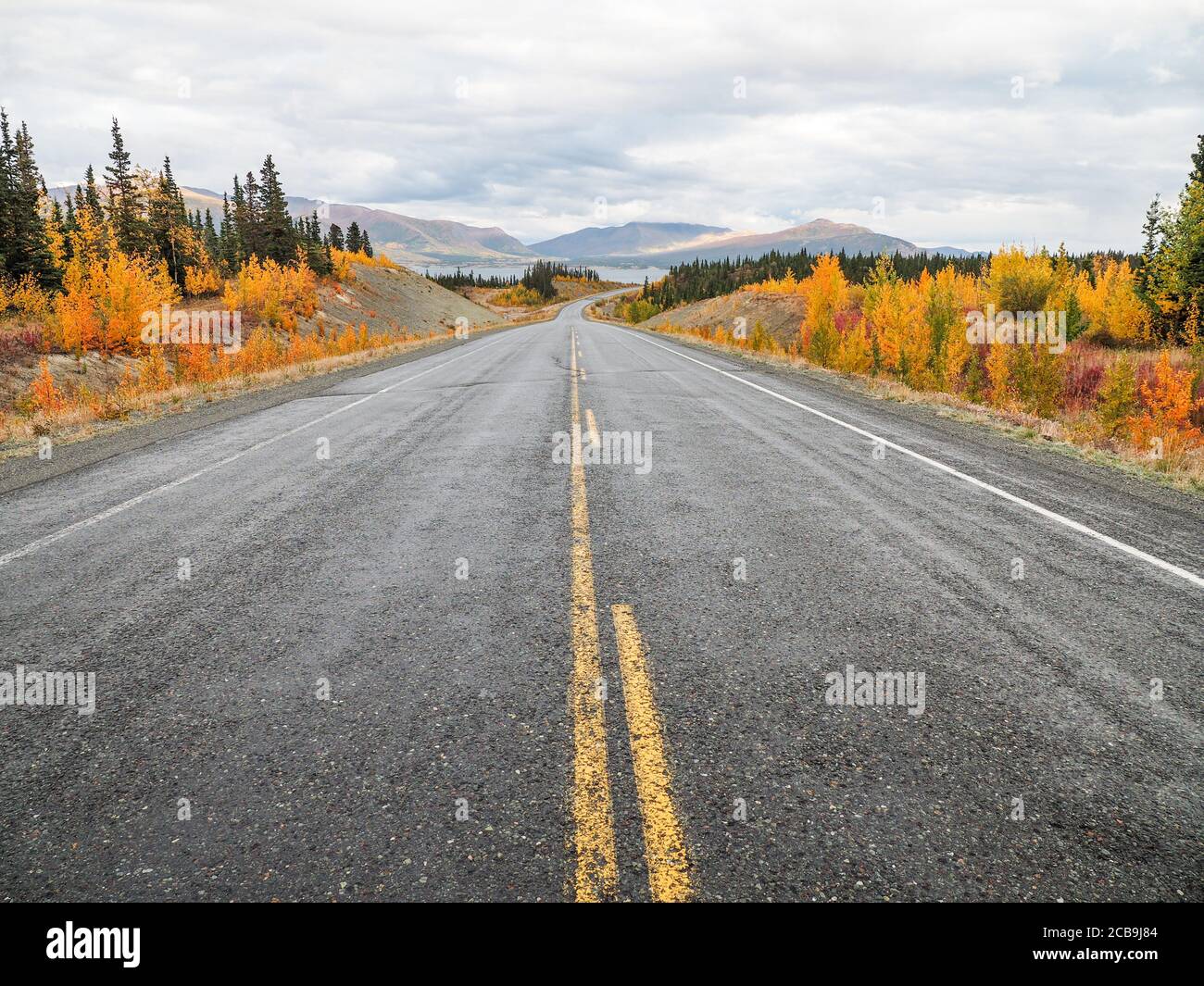 Asphalt road lined with beautiful autumn trees and mountains in the ...