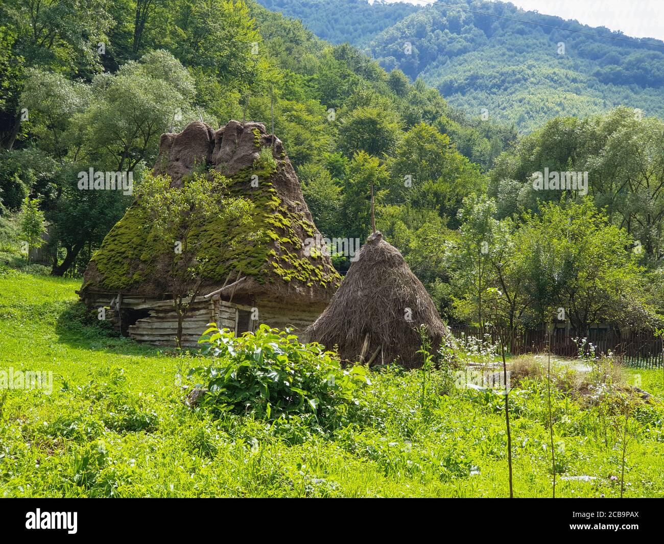Abandoned traditional old thatched roof wooden house in Apuseni ...