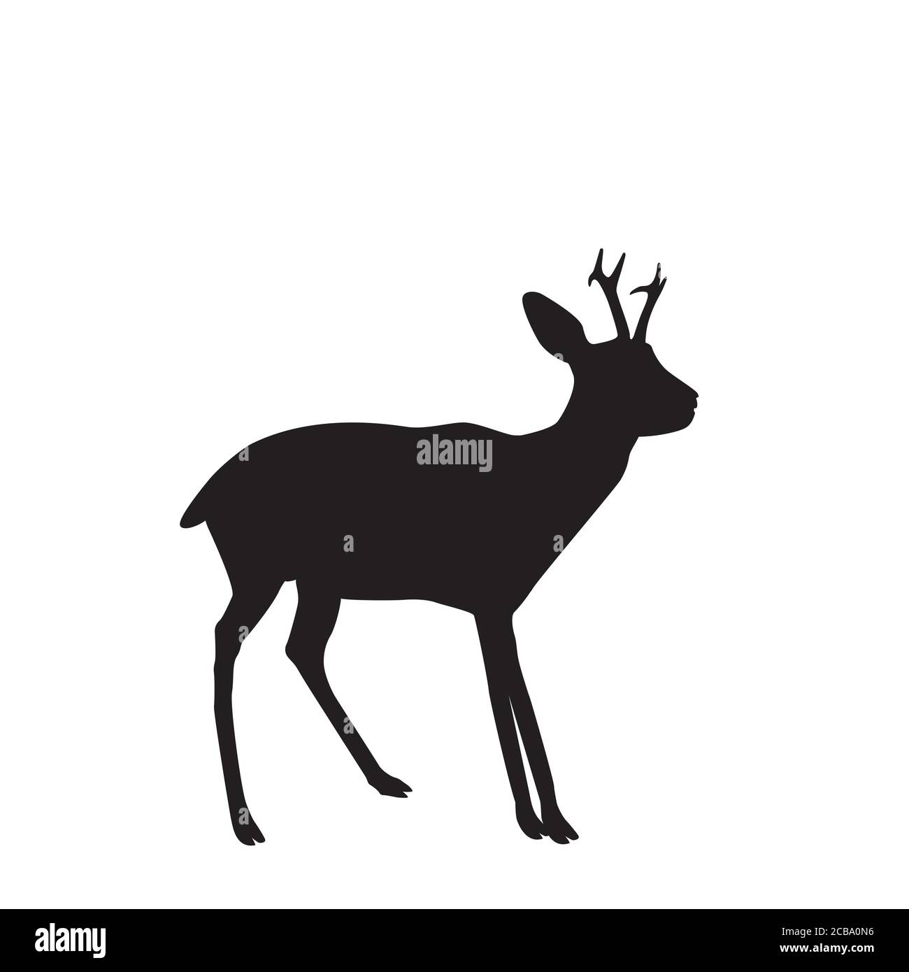 The silhouette of a young forest deer with small growing horns. vector illustration Stock Vector