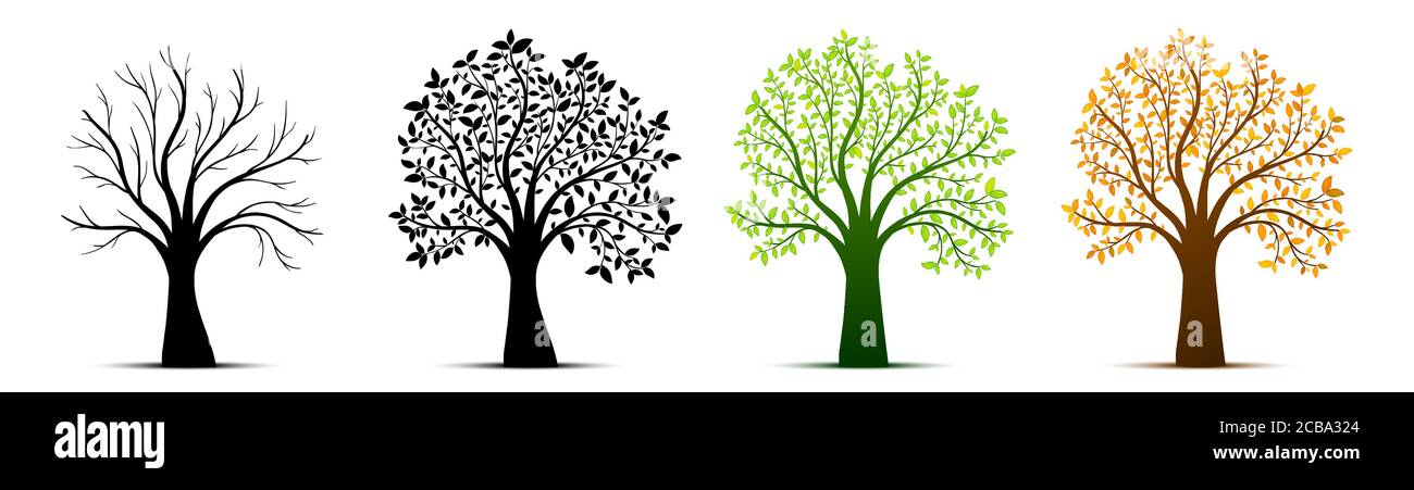 Tree seasons nature background. Vector illustration Stock Vector