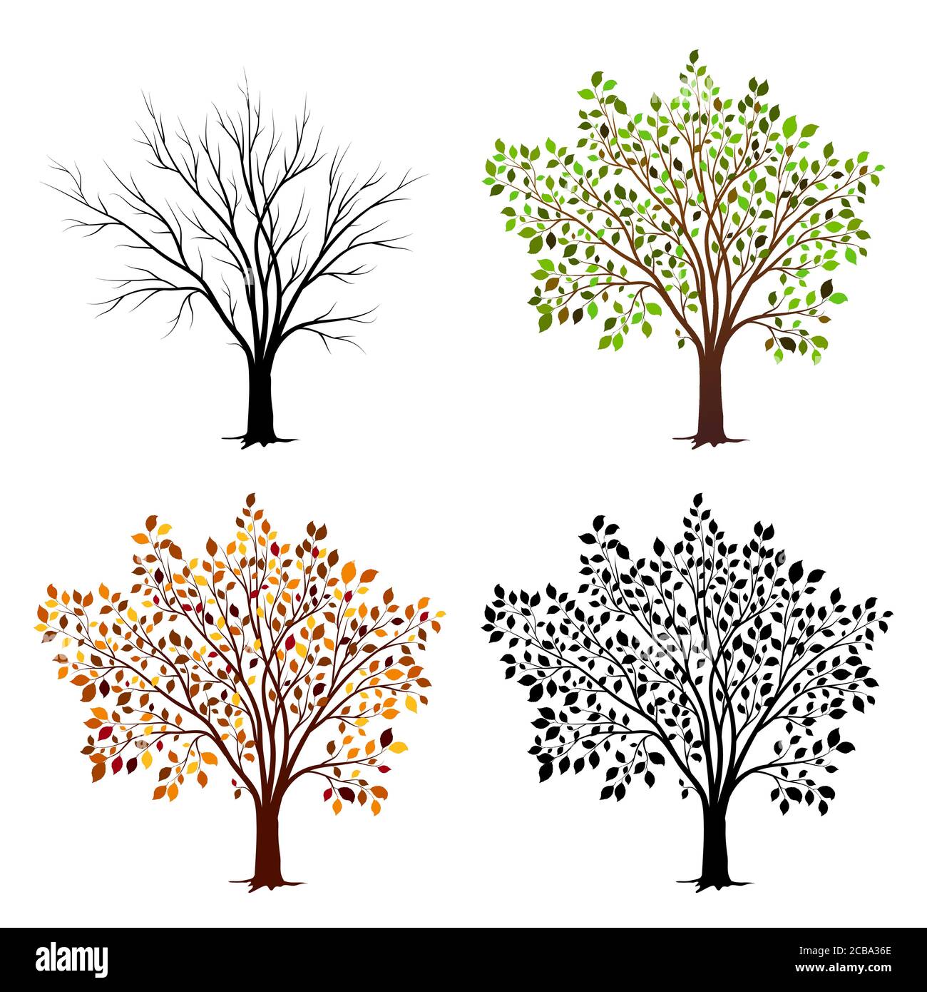 Four seasons of tree. Vector illustration Stock Vector