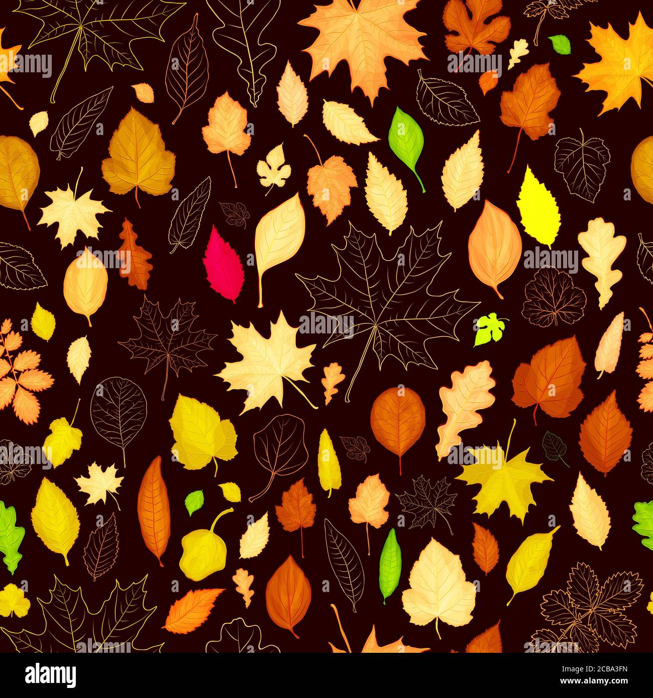 Autumn leaves seamless pattern background. Vector illustration Stock ...