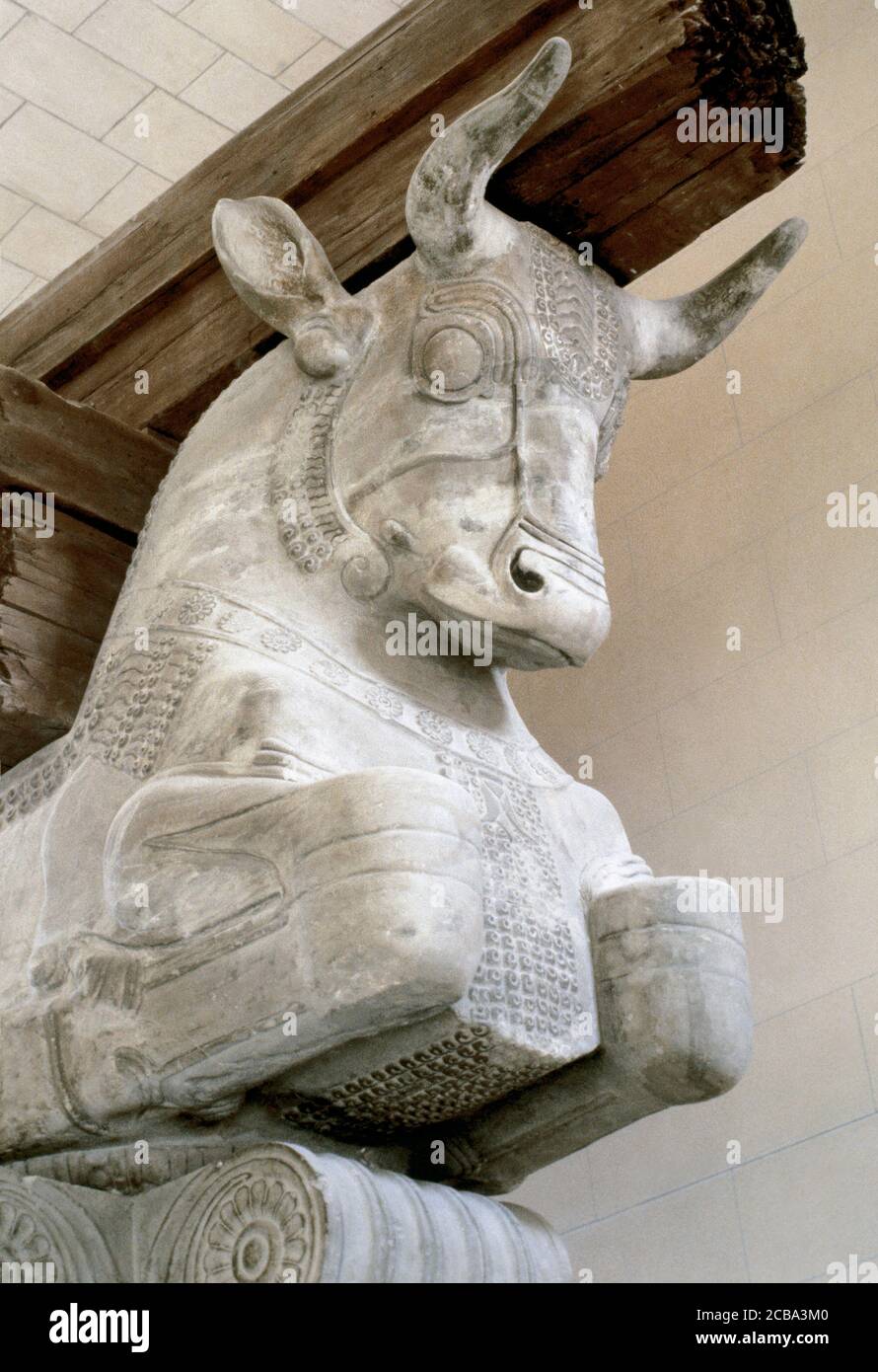 Double Bull-capital of a column from the audience hall of the palace of Darius I. Detail of the colossal capital from one of the columns which supported the roof of the apadana at Susa. Iran. Gray limestone, ca. 510 BC. Detail. Louvre Museum. Paris, France. Stock Photo