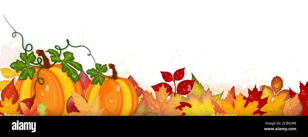 Autumn frame with pumpkins and colorful leaves. Vector illustration ...